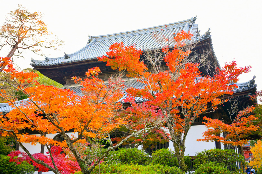 宝福寺