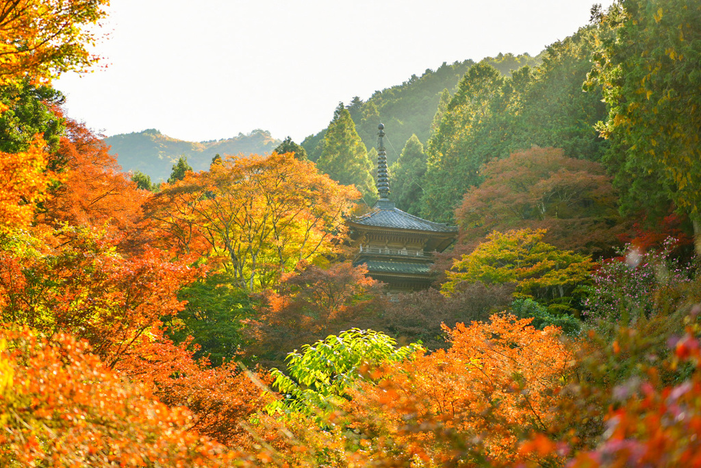 高源寺