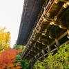圓教寺