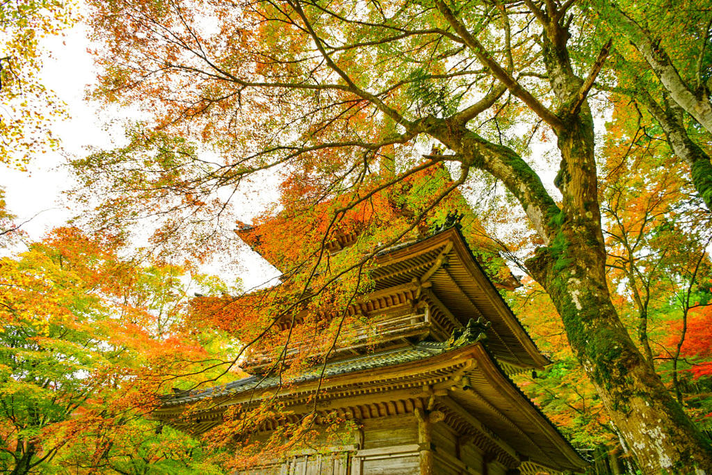 高源寺