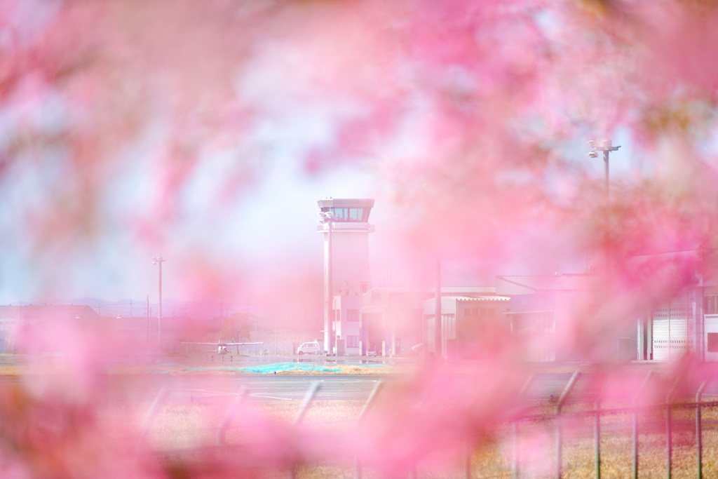 岡南飛行場