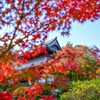 宝福寺