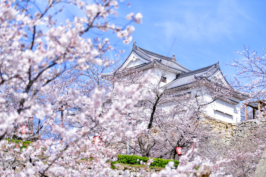 鶴山公園