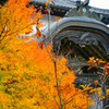 誕生寺