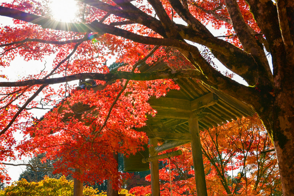 木山寺
