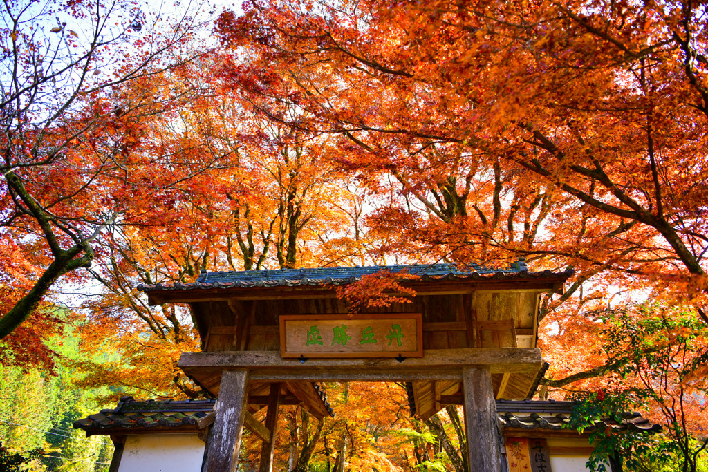 高源寺