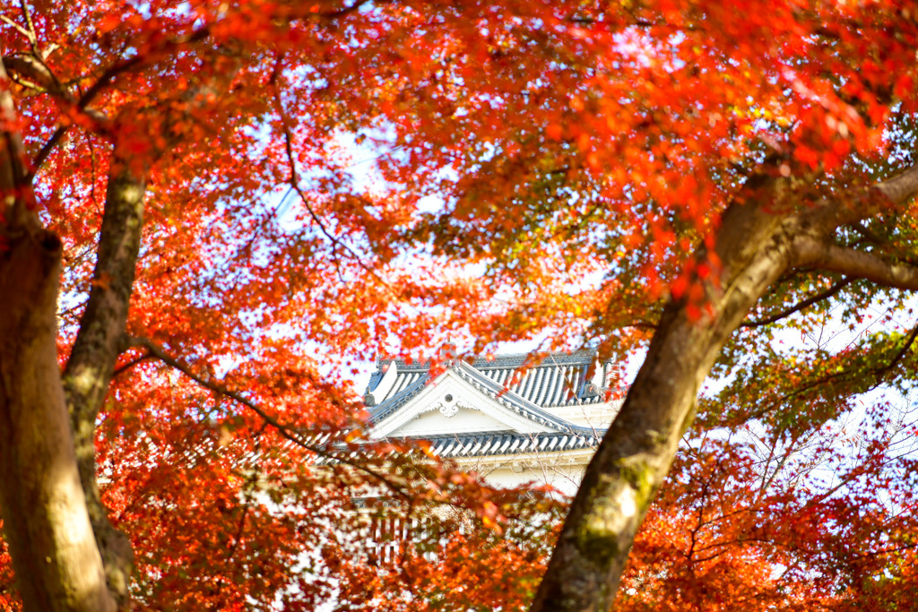 鶴山公園