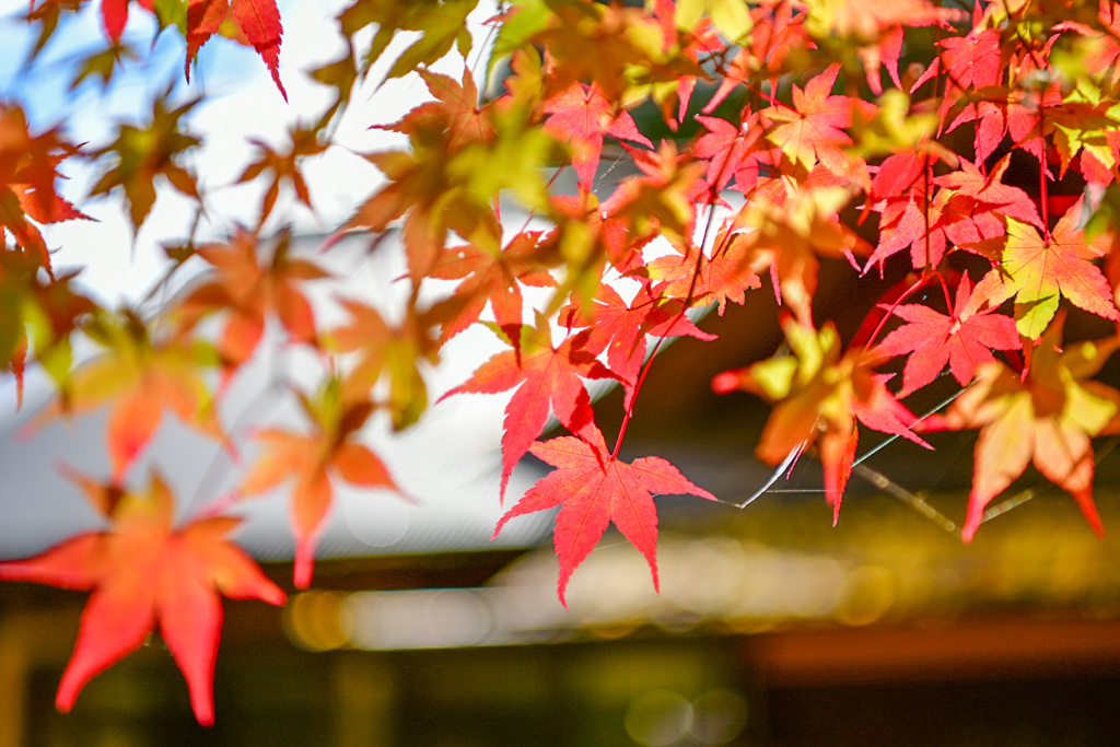 木山寺