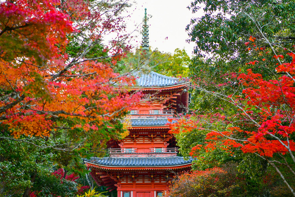 宝福寺