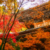 圓教寺