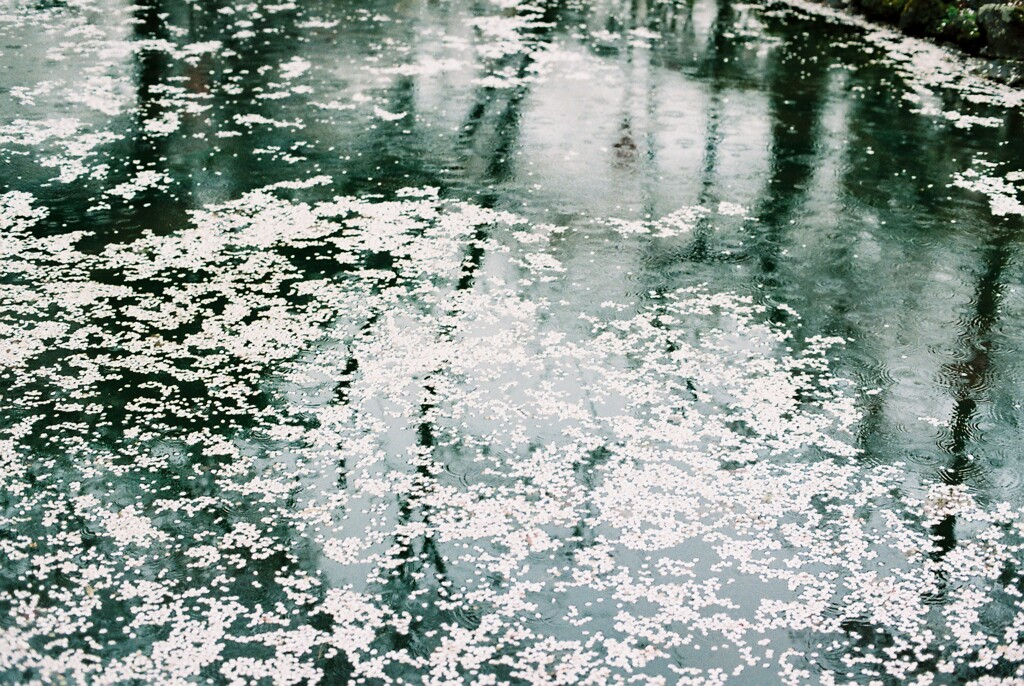 雨模様