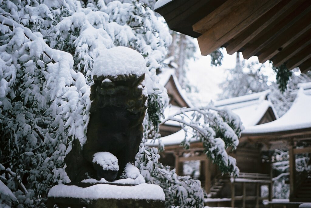 雪帽子