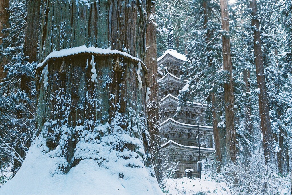 羽黒山 #2