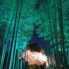 IMG_20210326_204146_026