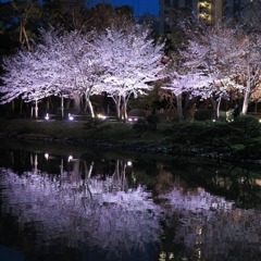 IMG_20210326_204145_987
