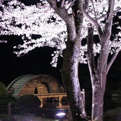 IMG_20210326_204146_030