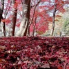 IMG_20201115_145316
