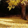 IMG_20201115_153005