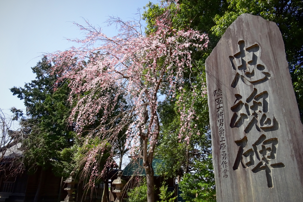 川越郊外、地元の神社にて2021年3月16日