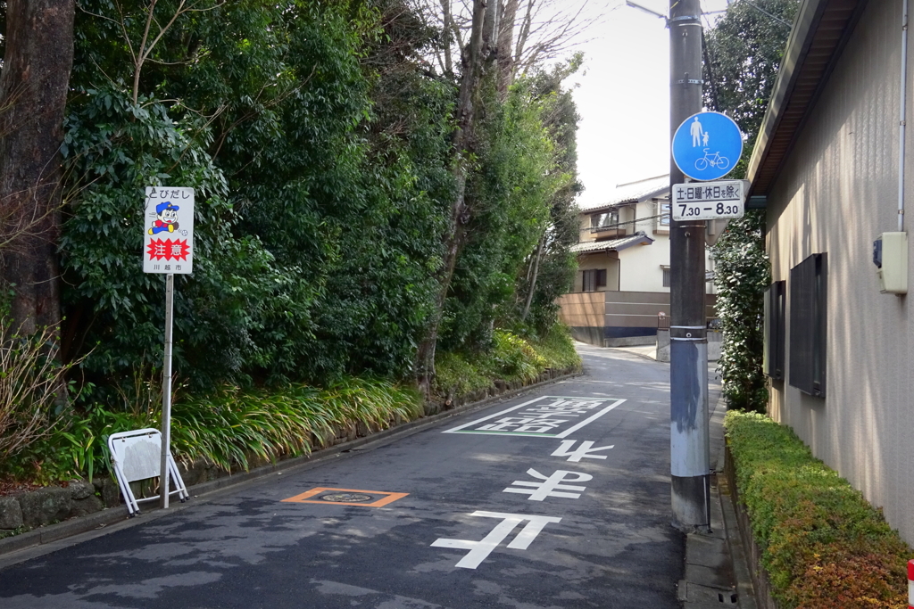 川越氷川神社付近にて2021年3月9日
