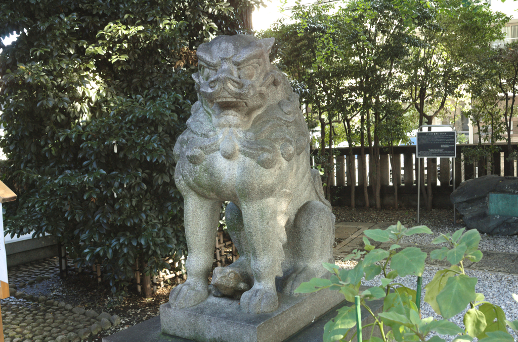 雑司が谷・大鳥神社にて