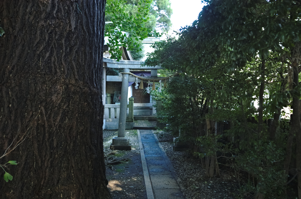 雑司が谷・大鳥神社にて