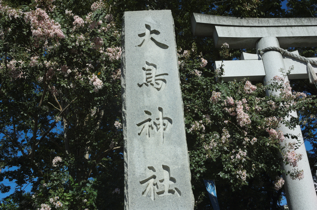 雑司が谷・大鳥神社にて