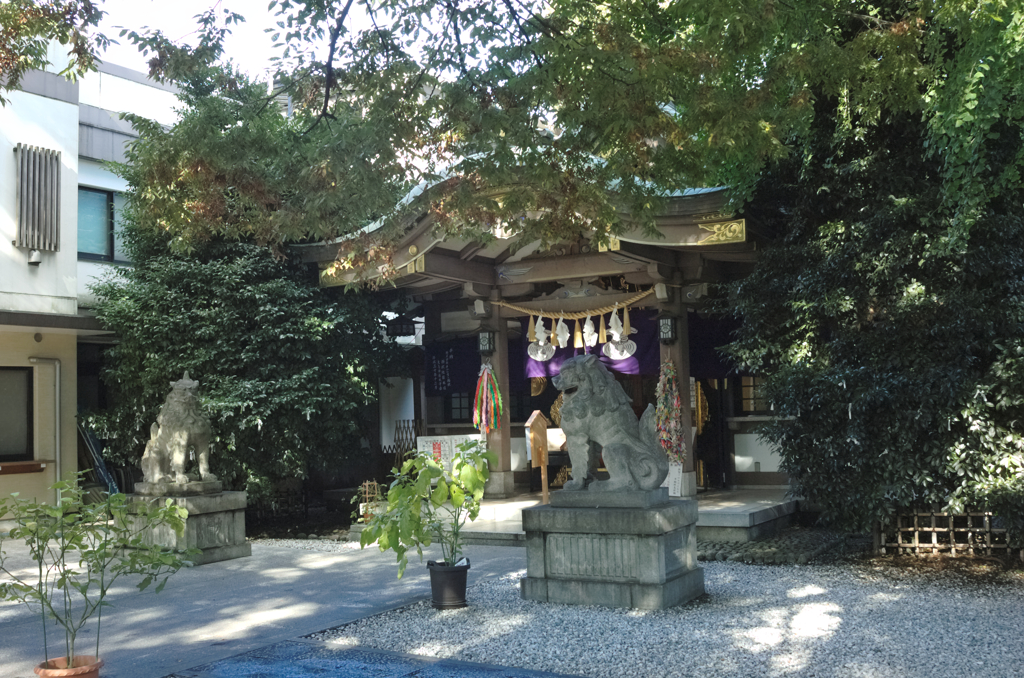 雑司が谷・大鳥神社にて