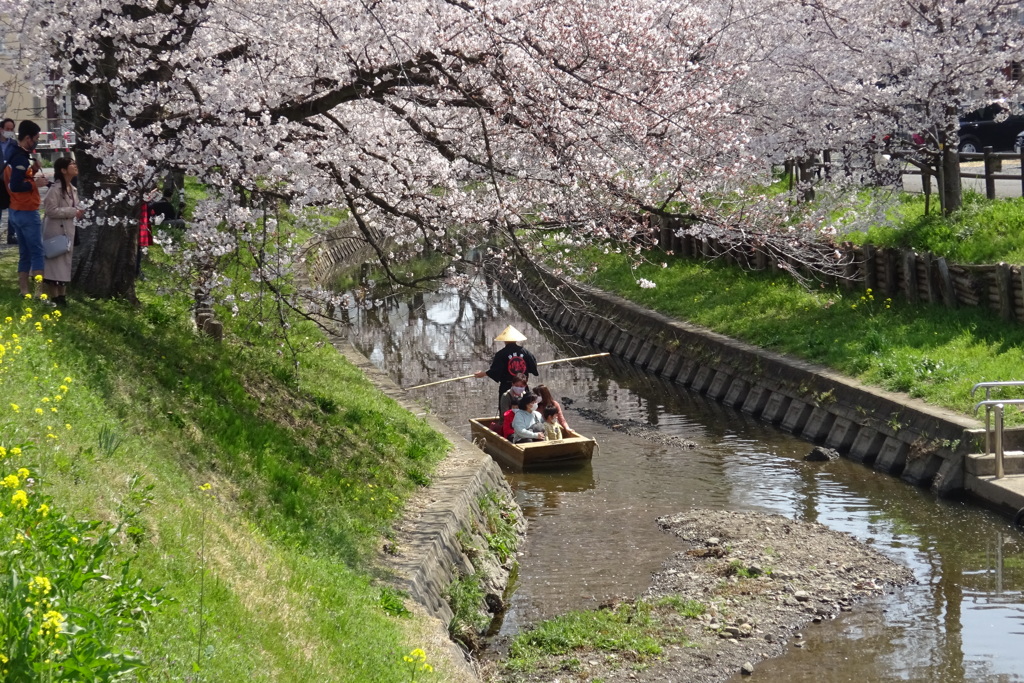 「小江戸川越 春の舟遊」 2021年3月27日