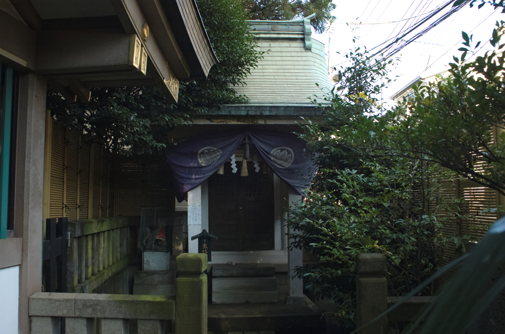 雑司が谷・大鳥神社にて