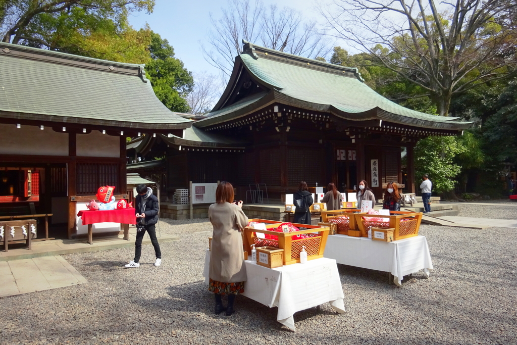 【お散歩スナップ】川越氷川神社にて2021年3月9日 