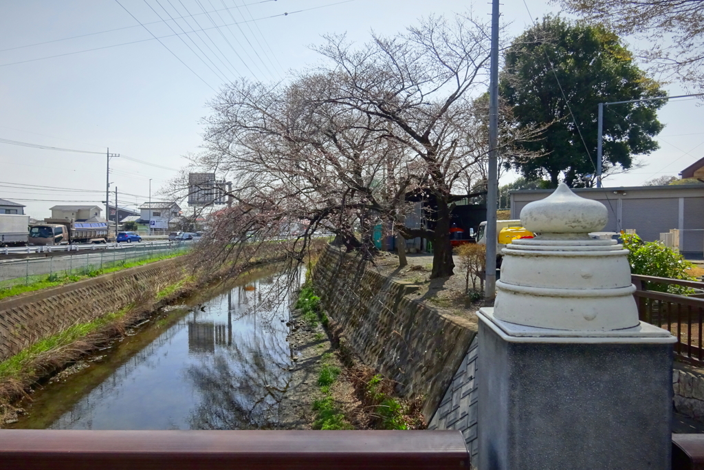 川越市初雁球場周辺にて2021年3月19日