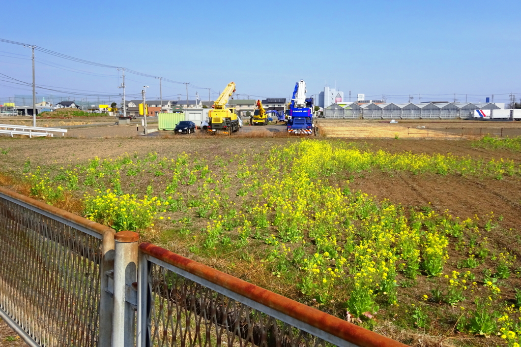 【お散歩スナップ】川越郊外にて2021年3月9日 