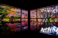 Autumn color`s Kyoto 2020 瑠璃光院