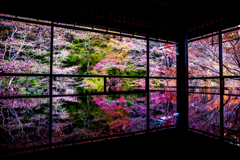 Autumun color`s Kyoto2020 瑠璃光院