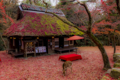 奈良県　水谷茶屋