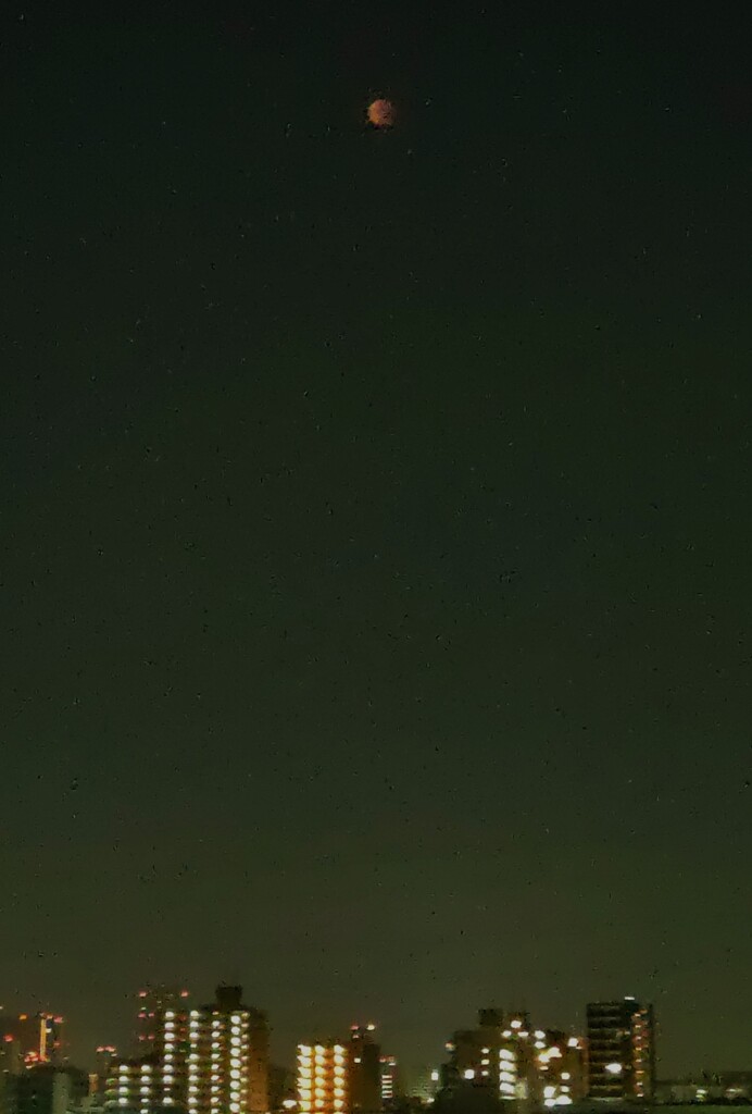 赤い月