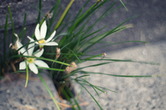 望んでいなかった世界