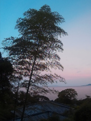 昼と夕方のあいだ