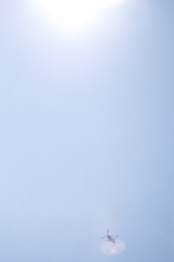 太陽はやっぱり大きい