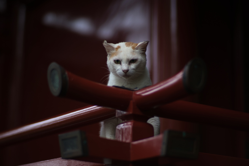 守護神