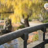 橋の下にあるものは？