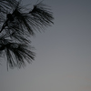 暁雲