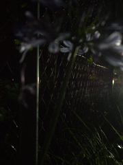月の見えない夜
