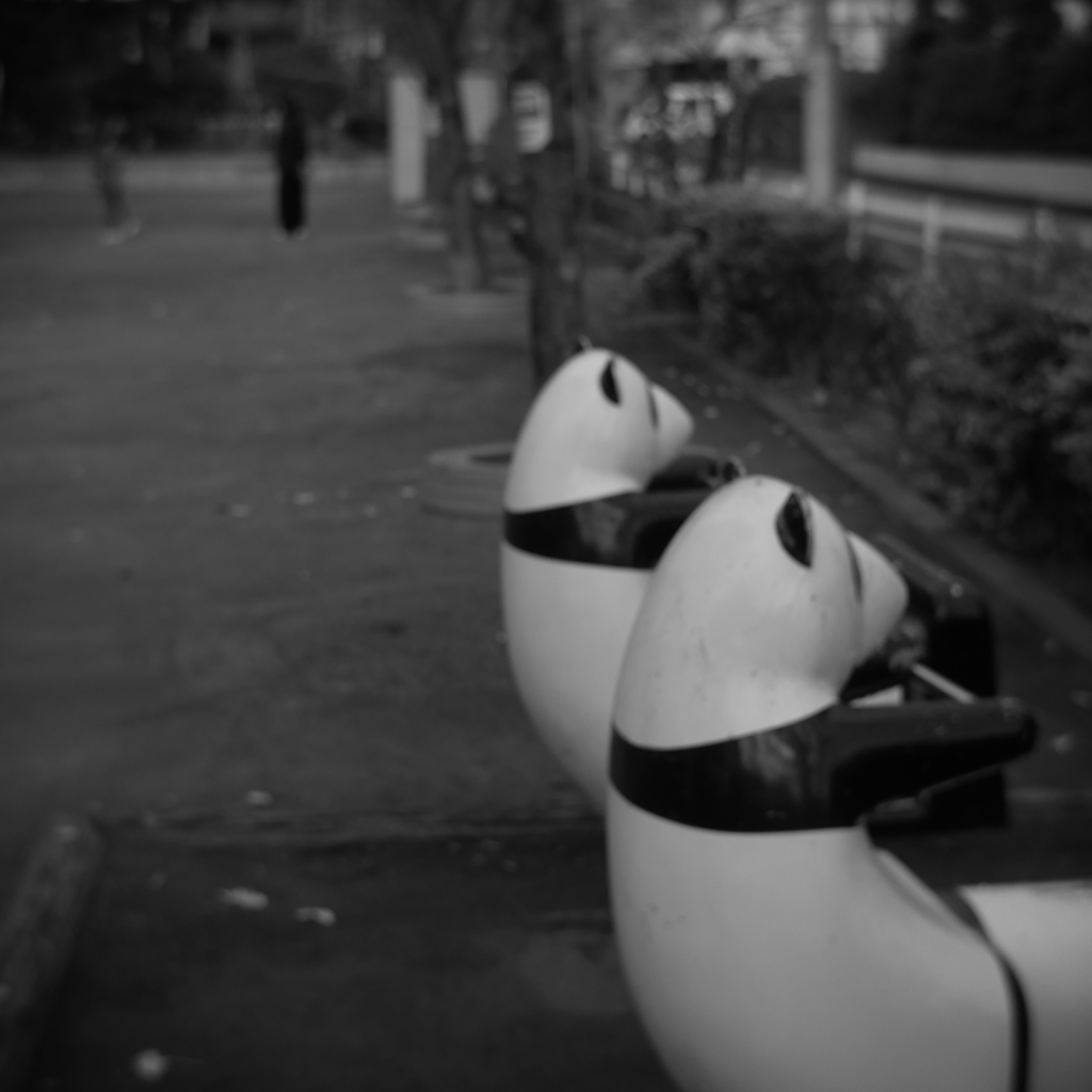 競泳 パンダ100m背泳ぎ ‐ 決勝