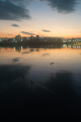 ミズベ・ユウベ