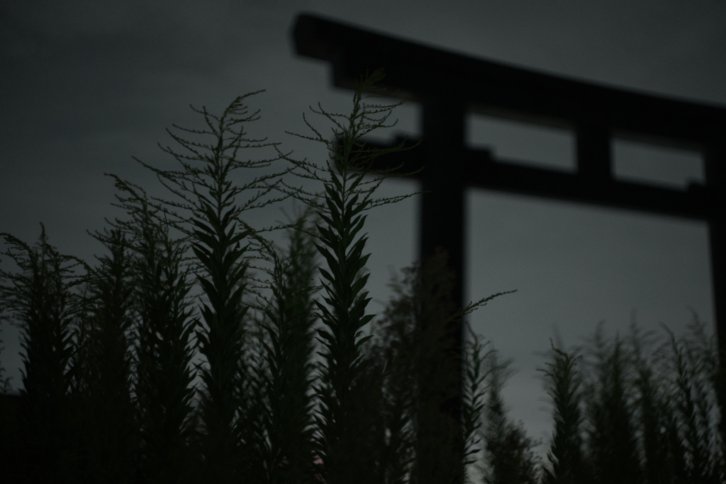 生い茂る