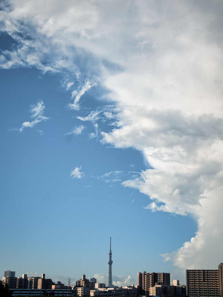 東京スカイツリーといえども夏の雲には遠く及ばない