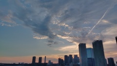 空を見たくなった