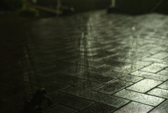 雨粒のステージ